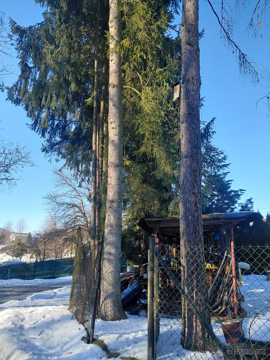 Modřín a smrky – kulatina - 3