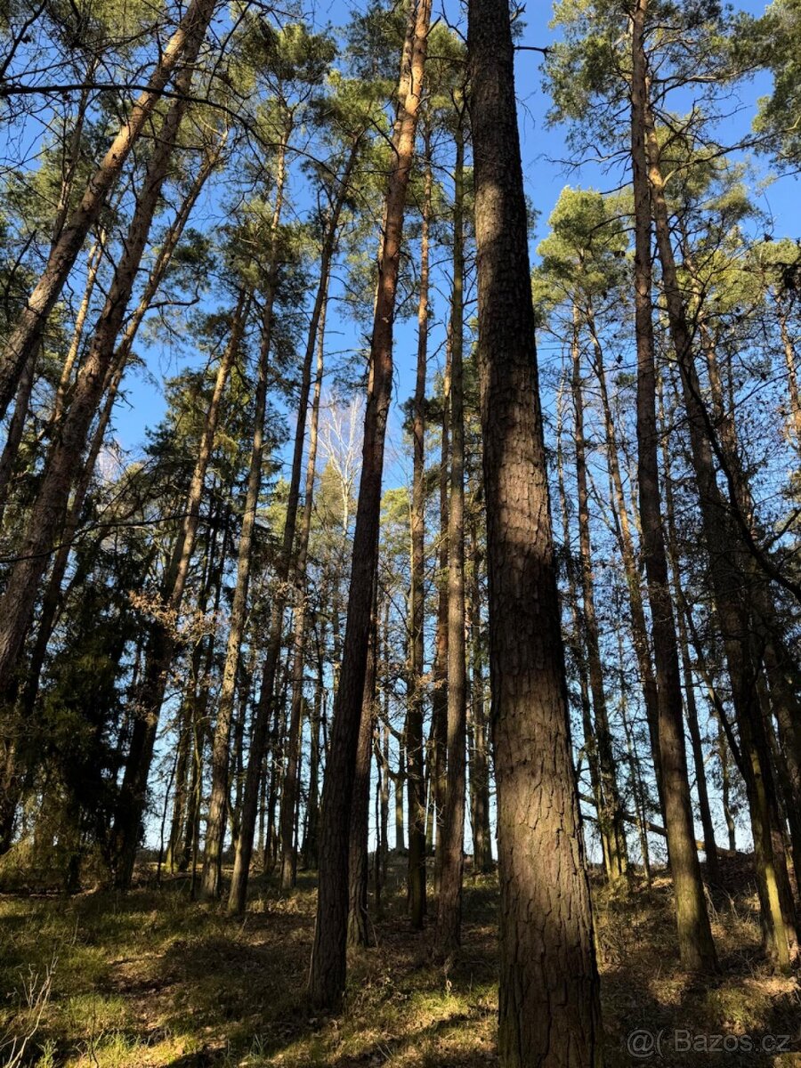 Prodám pozemky v katastrálním území Nemějice - 3