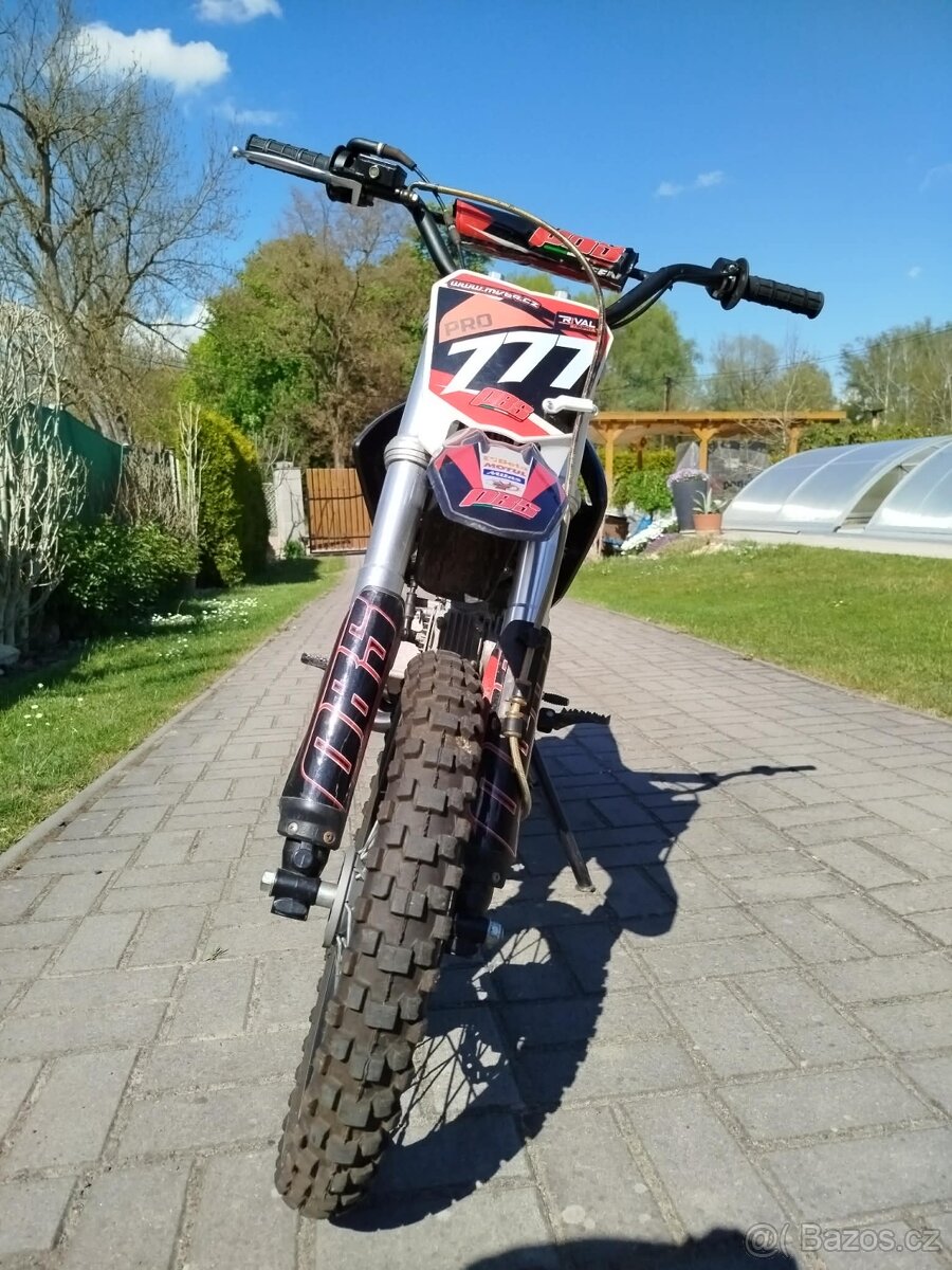 Pitbike PBS 110 - 3