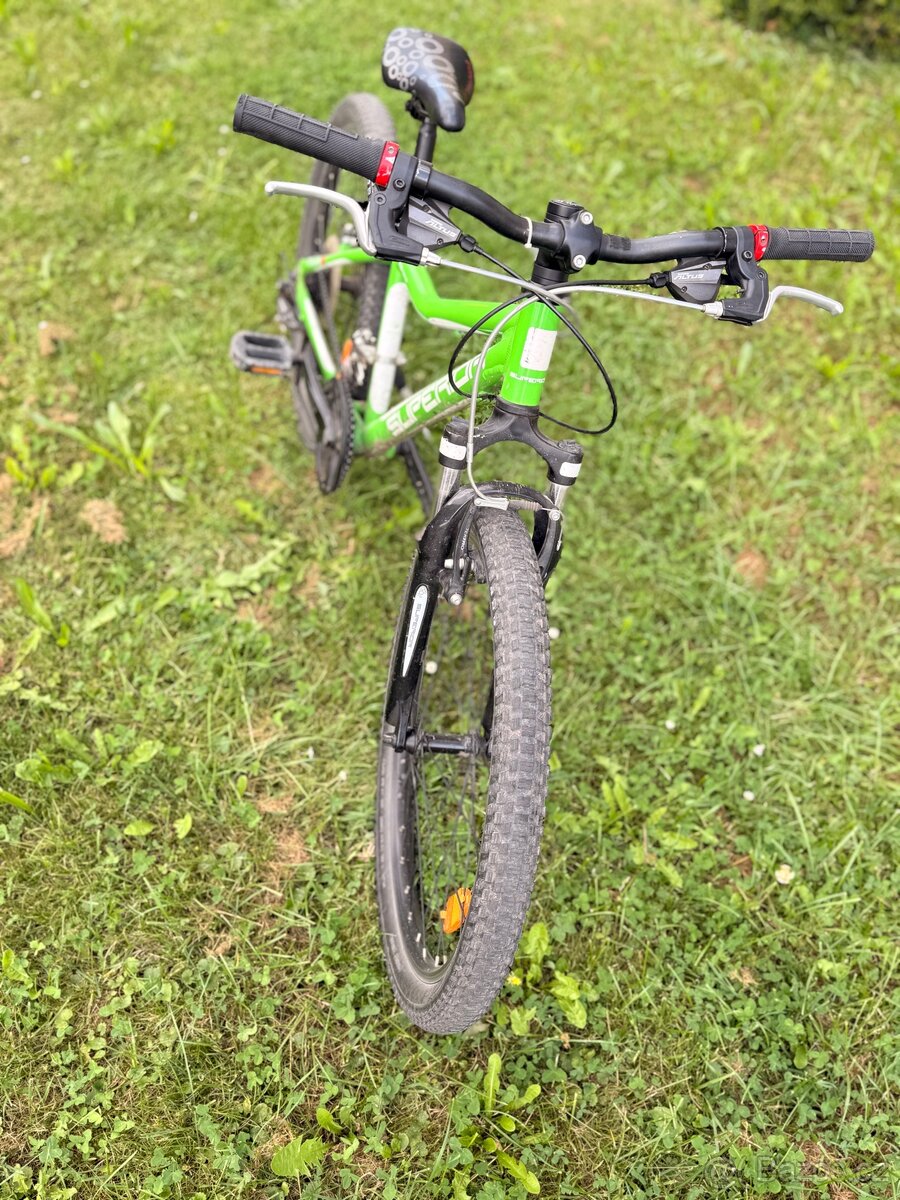 Superior 24” -Panda - 3