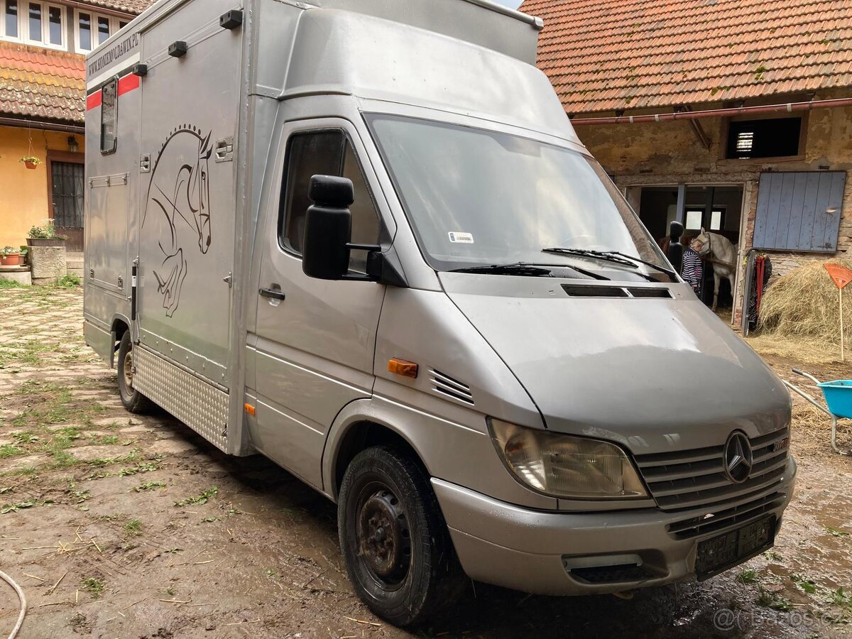 Sprinter na přepravu koní - 3