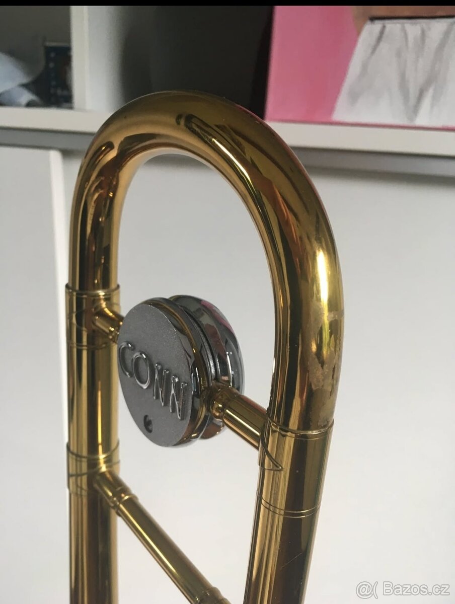 Pozoun CONN Artist - 3