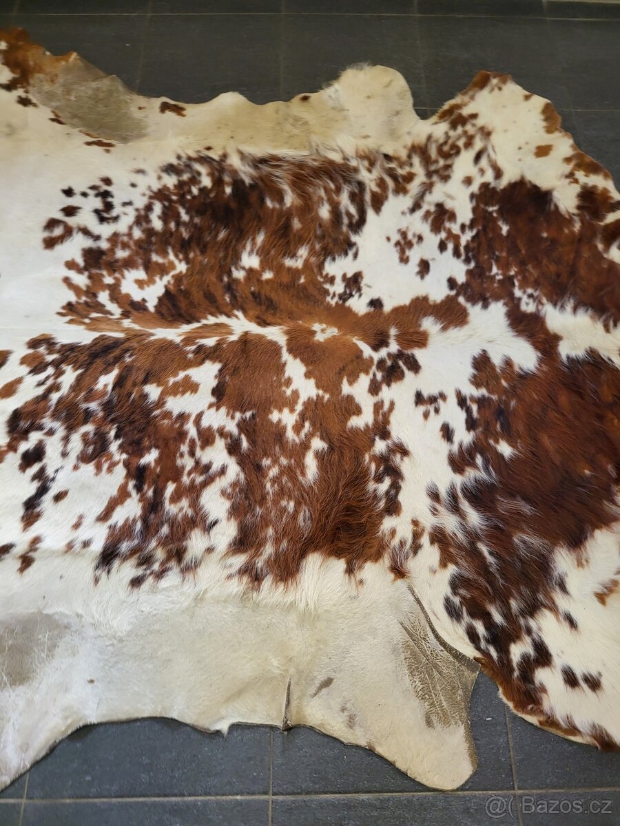 kůže, hovězí kožešina, velikost 174x166 cm - 3