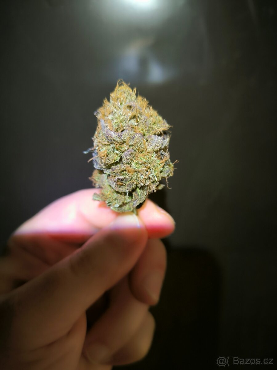 Nabízím květy konopí, Infuze. - 3