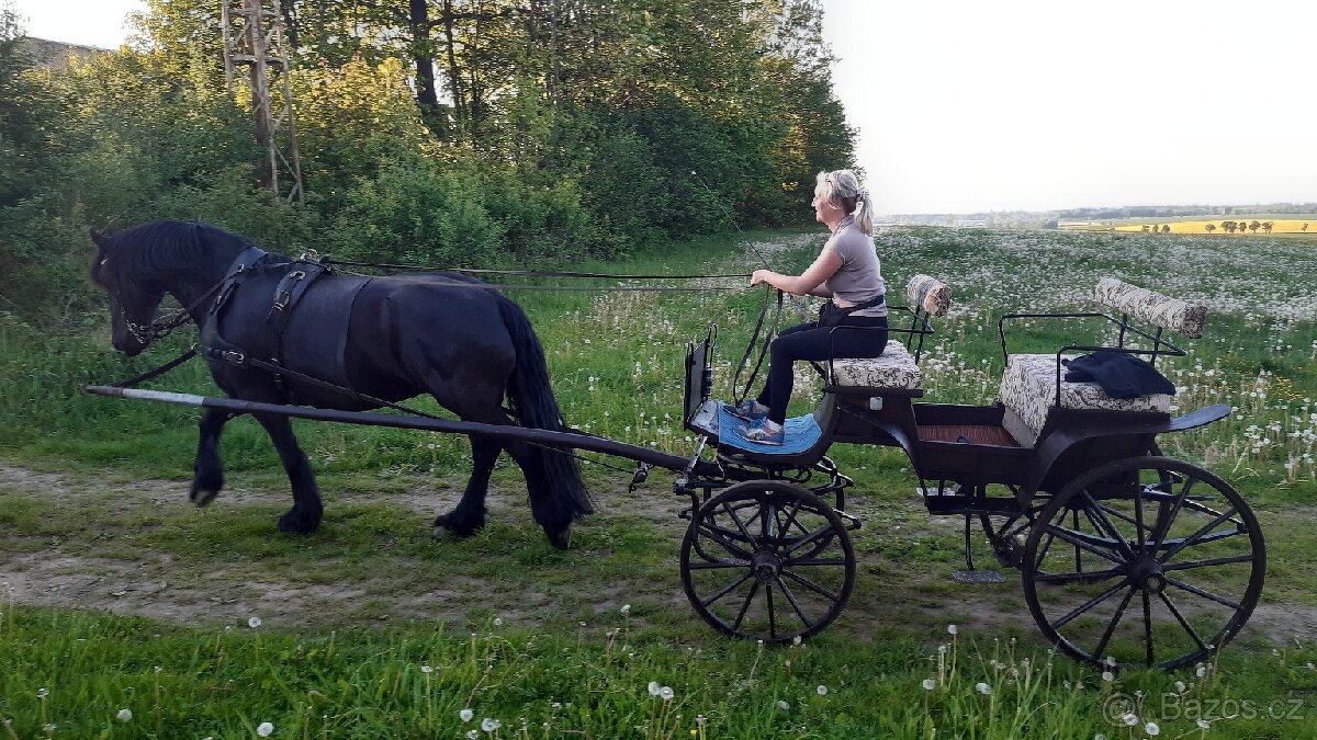 Bryčka za koně na pár + ojky na jednospřeží - 3