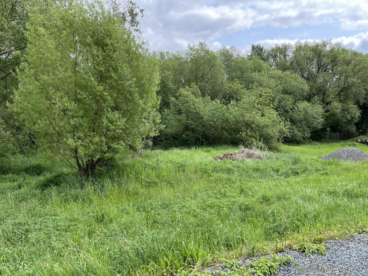 Prodej stavebního pozemku v obci Volanov - 3