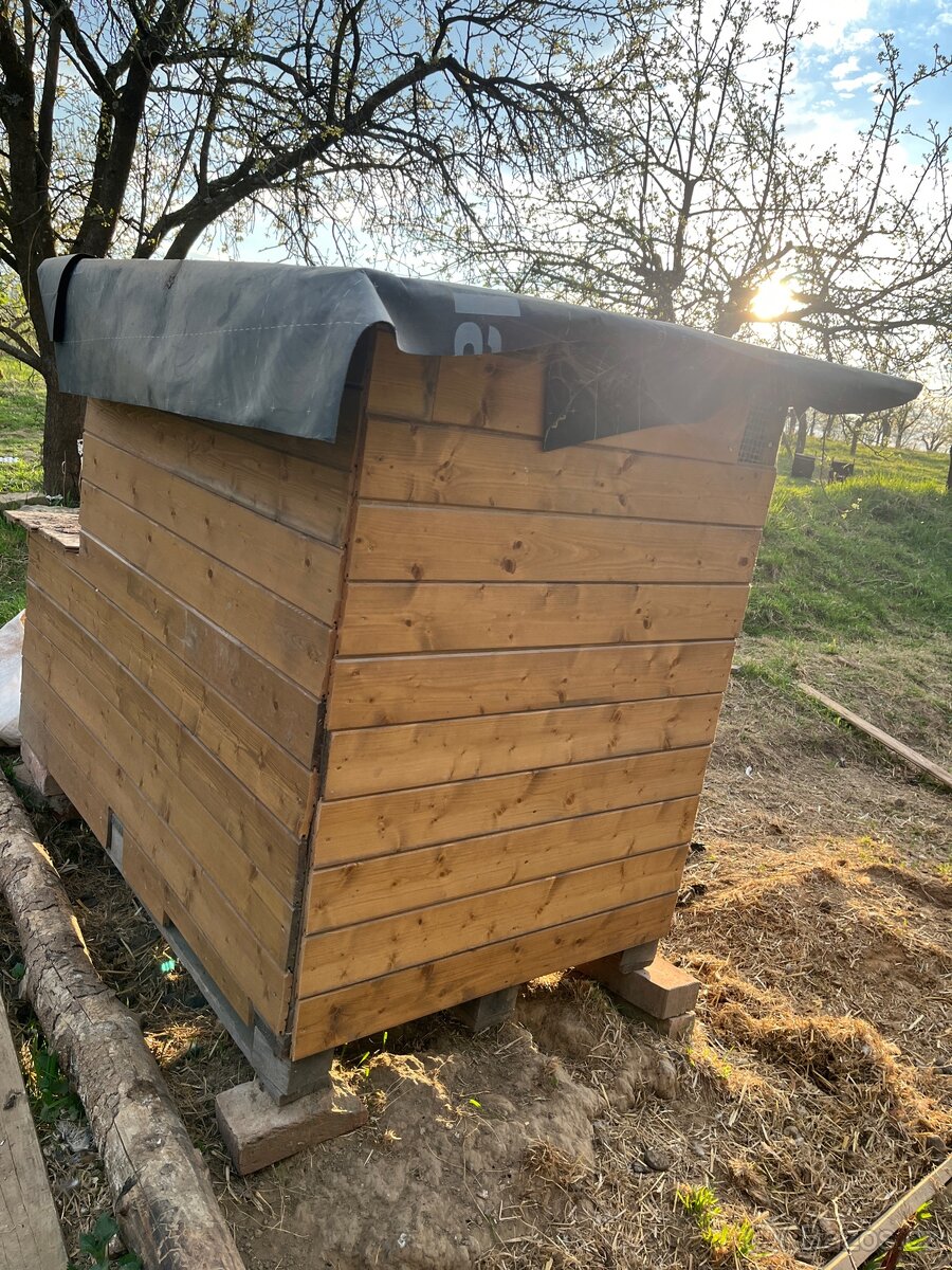 Kurnik - 3