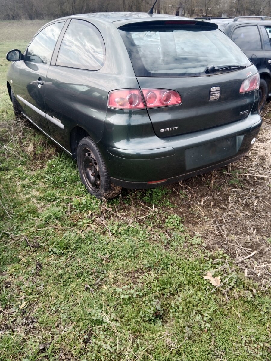 Seat Ibiza - 3
