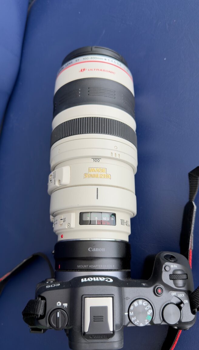 Canon EF 100-400 L 4.5-5.6 - 3