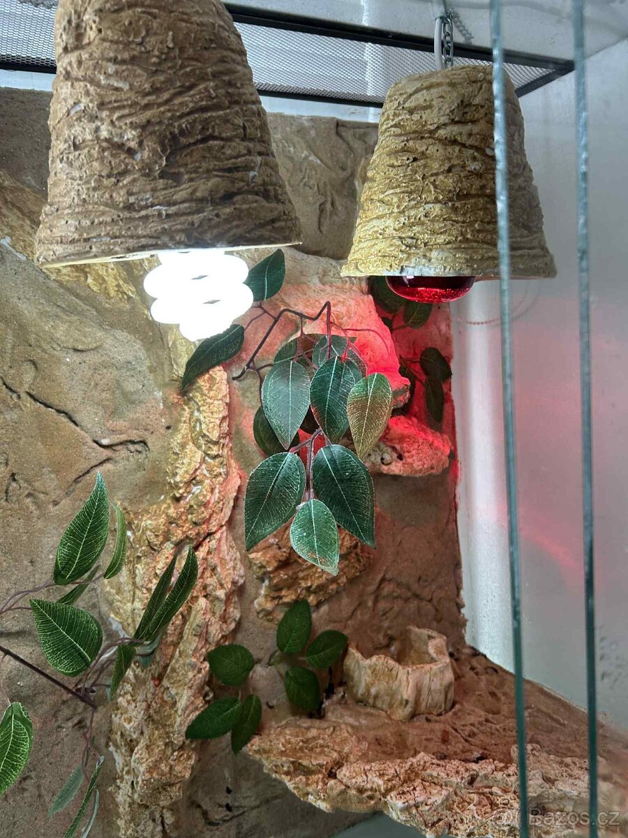 Prodám terárium + vybavení - 3