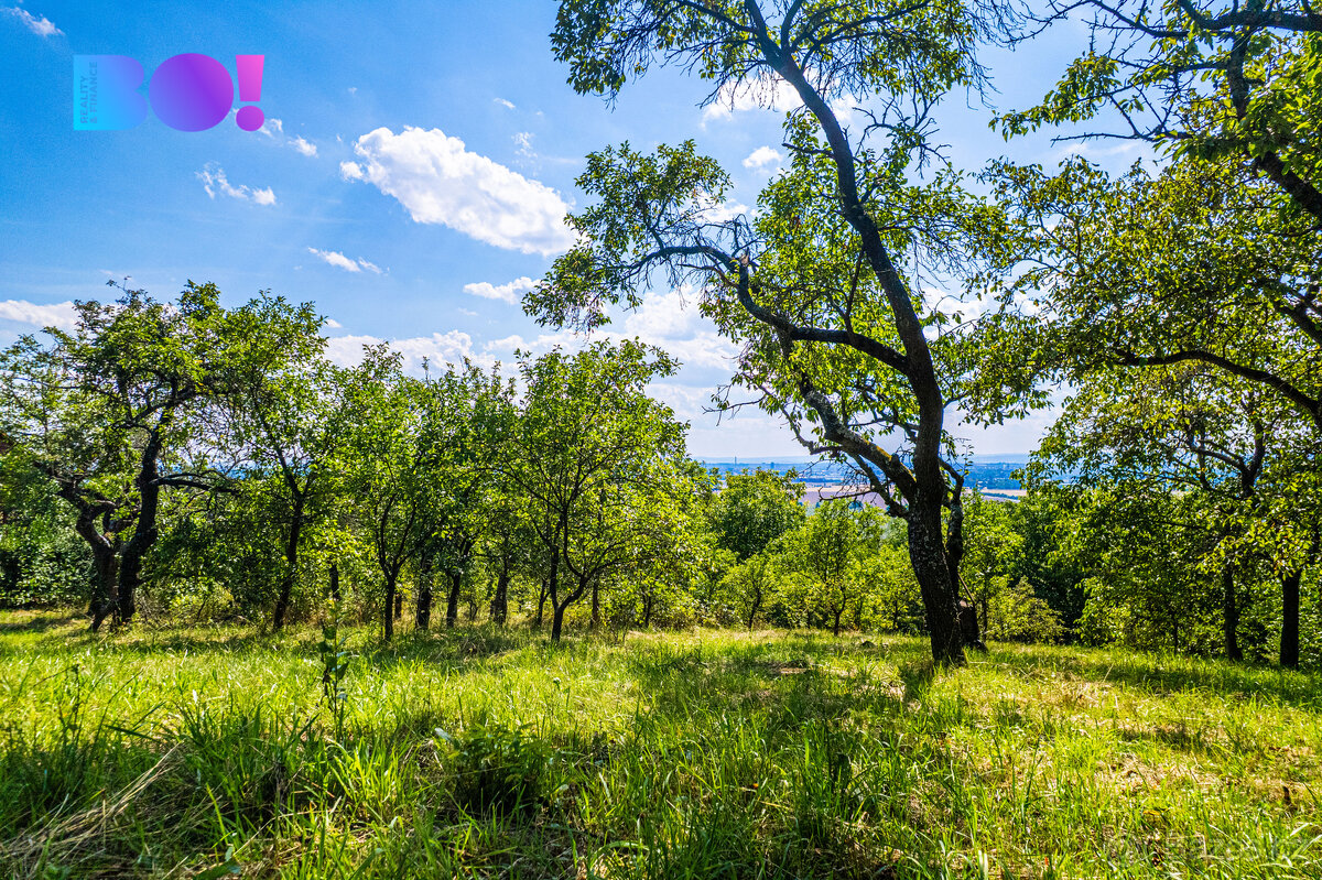 Prodej zahrady Samotišky - 3