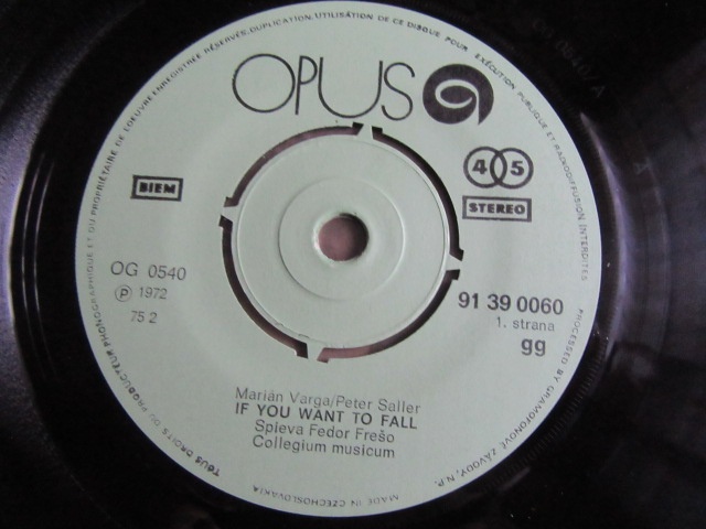 SP Collegium Musicum - If you Want to Fall - 3