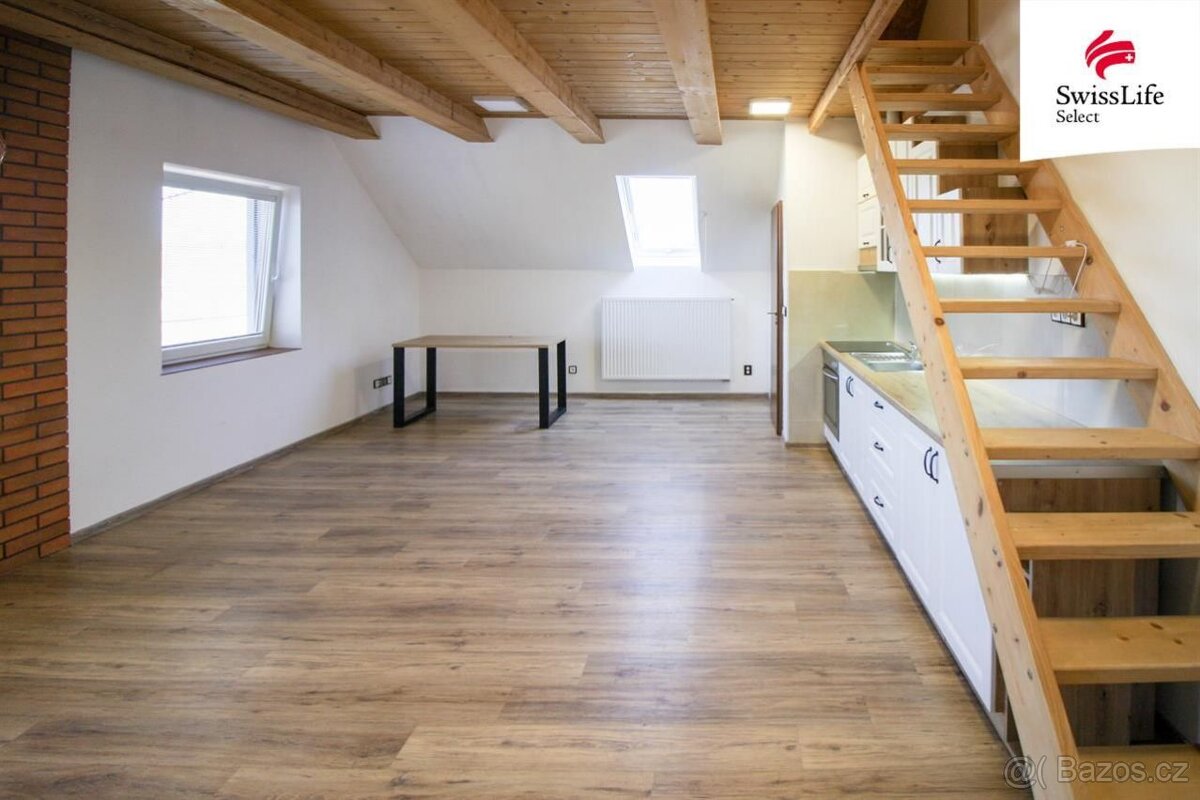 Pronájem bytu 1+kk 43 m2, Puklice - 3