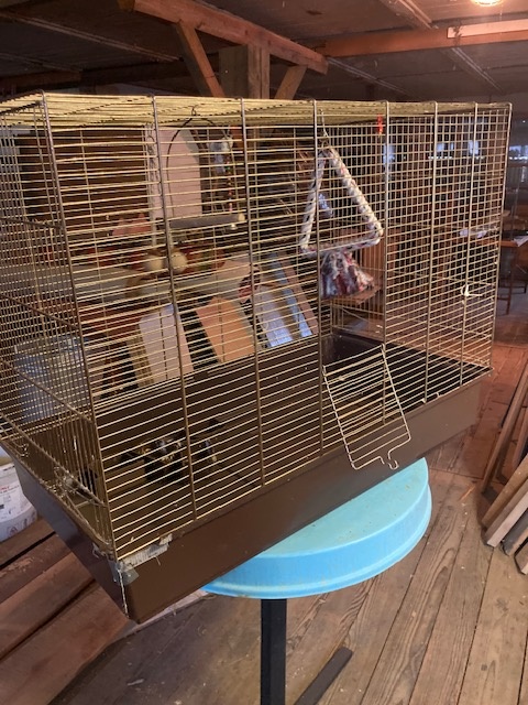 Klec pro většího papouška - 3