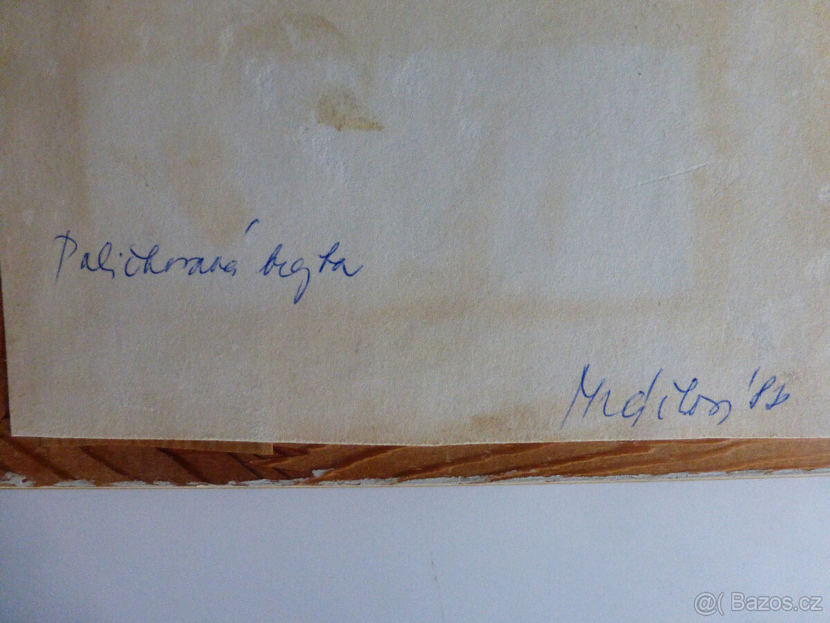 obrázek - paličkovaná krajka - Mráčková - 3