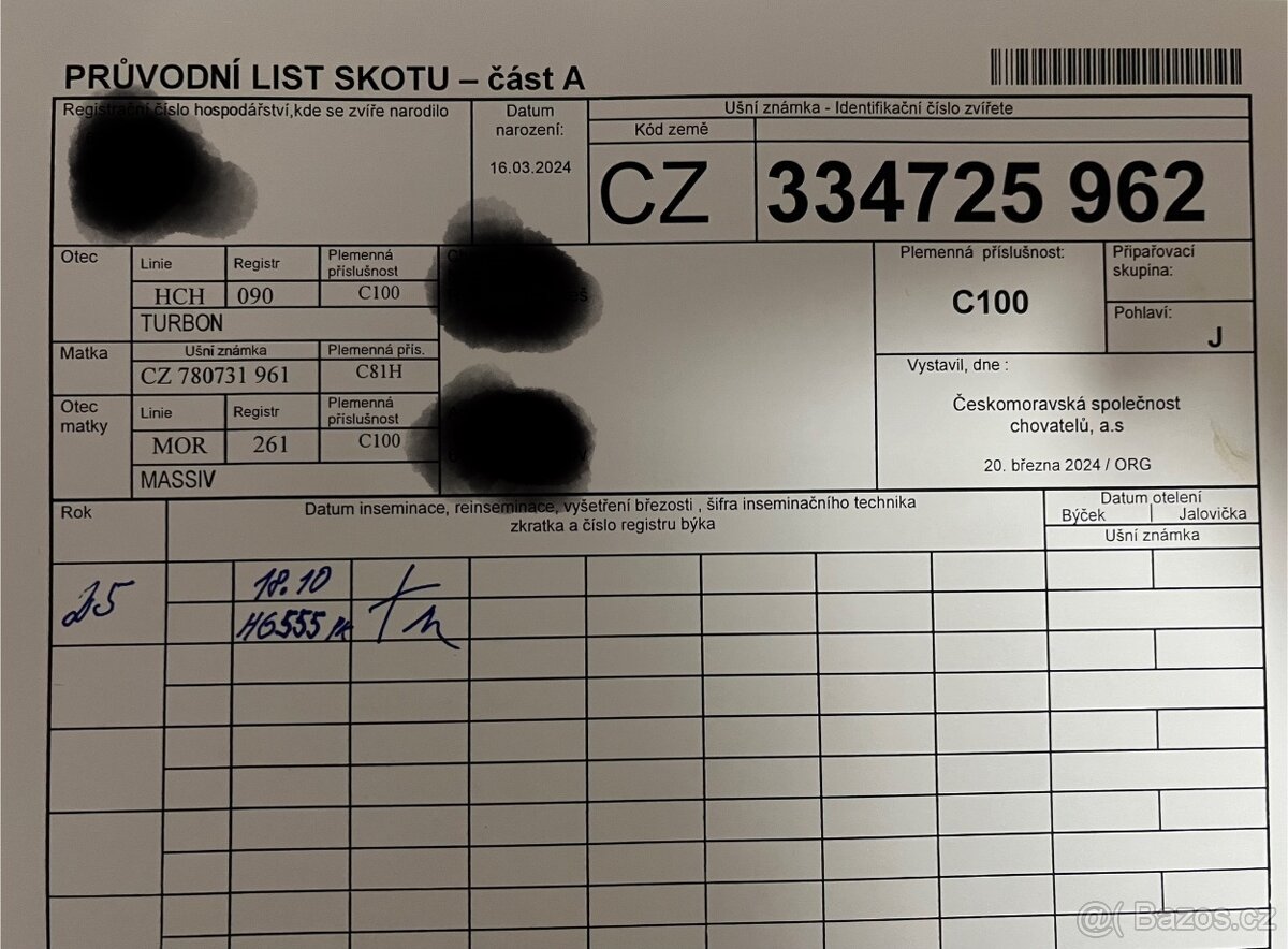 Jalovička čestr - 3