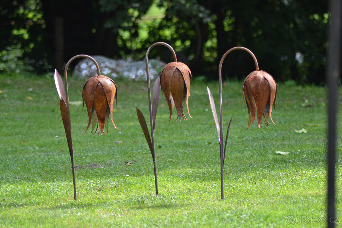 Květina zvonek sólo - 3