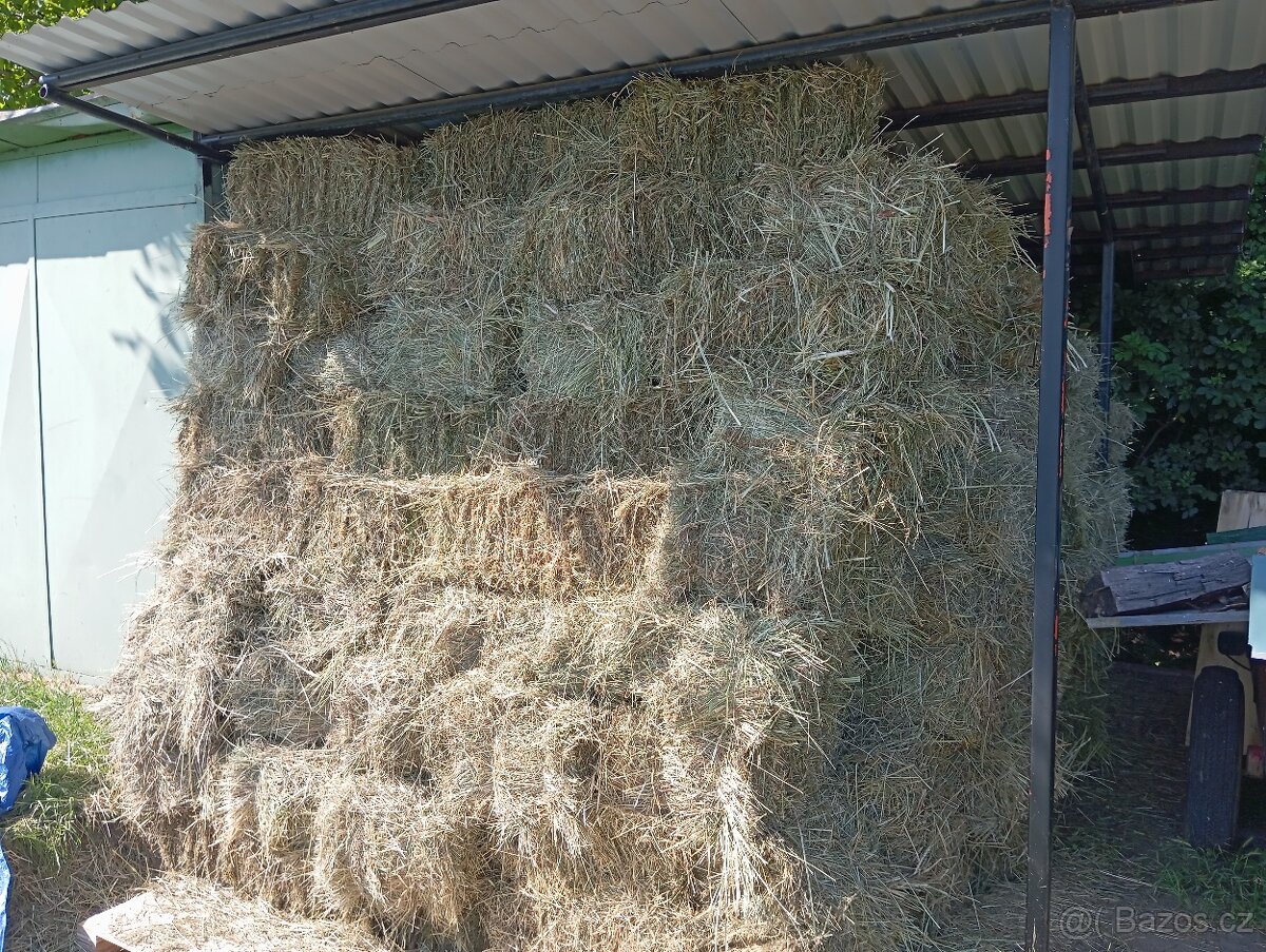 Pšenice 22e a seno 2.7 e kus - 3