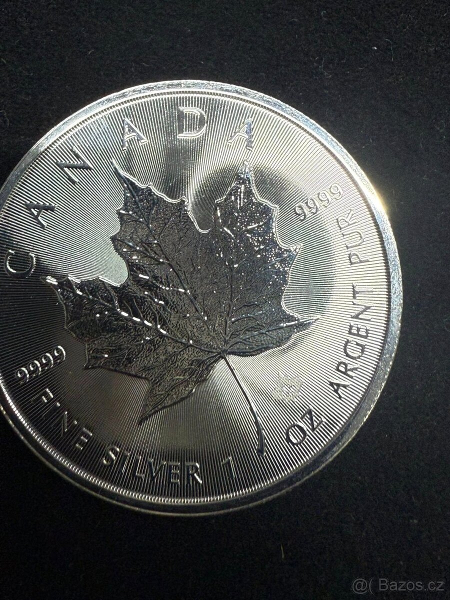 Stříbrná investiční mince Maple Leaf 1 oz - 3