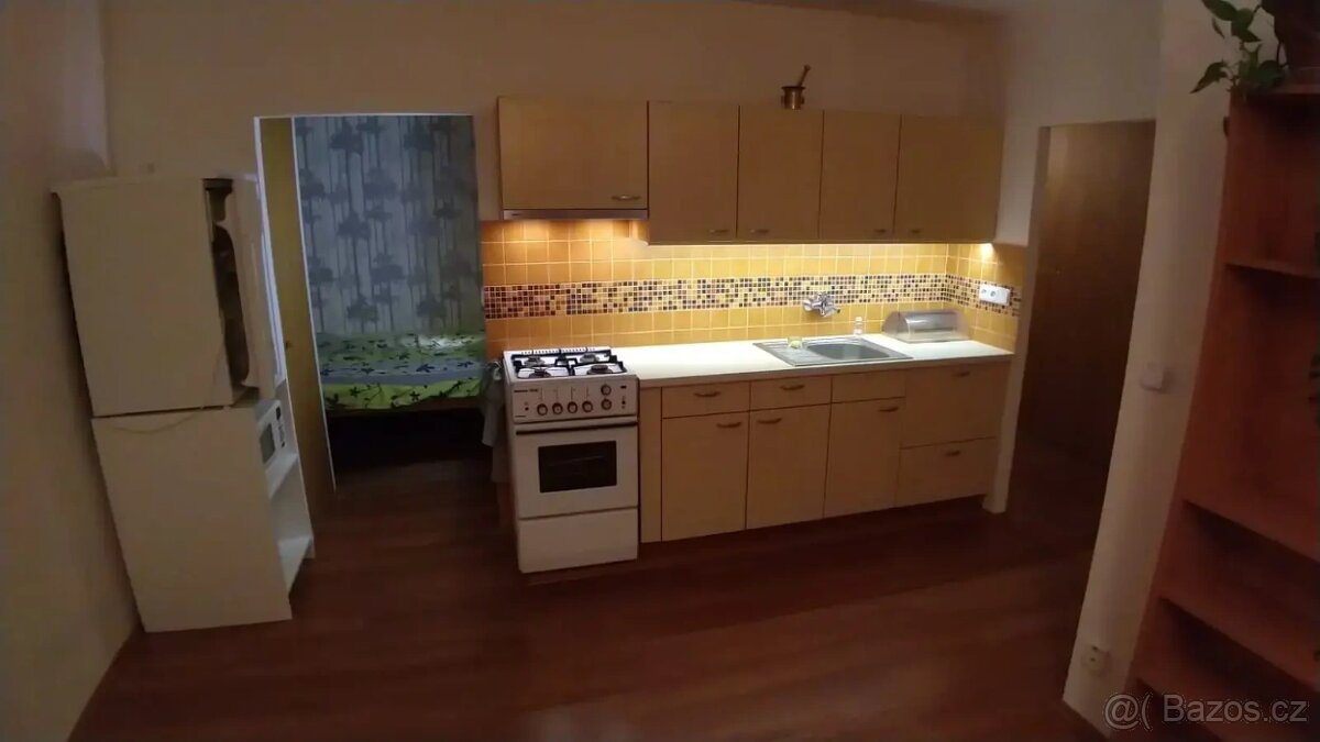 Pronájem bytu 2+kk 50 m² - 3