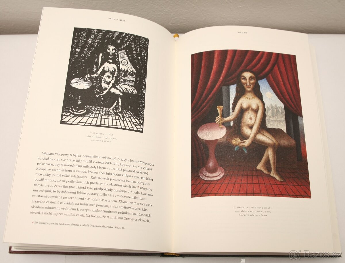 Jan Zrzavý - Božská hra (2012) - 3