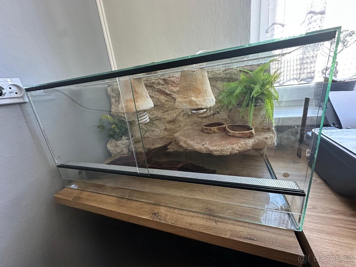 Terárium pro agamu - 3