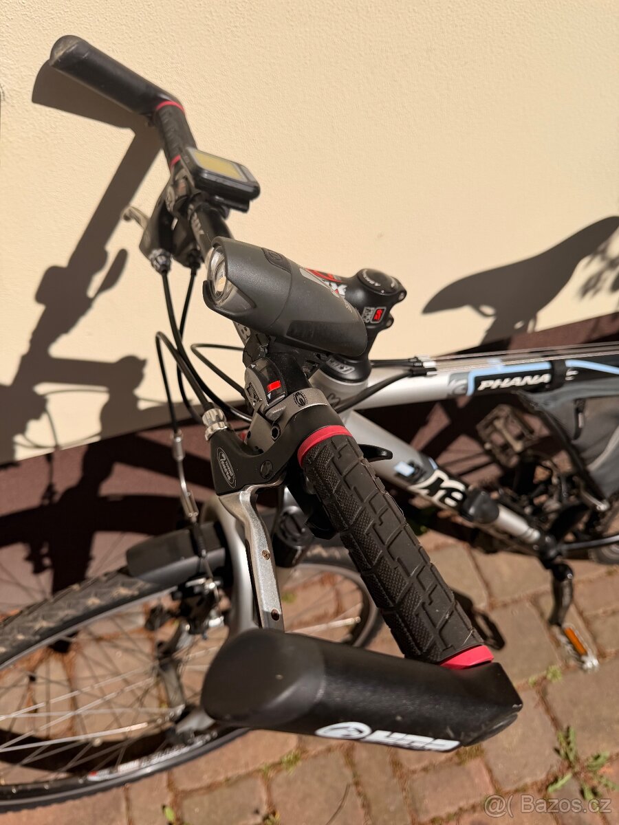 Kelly's phanatic - 3