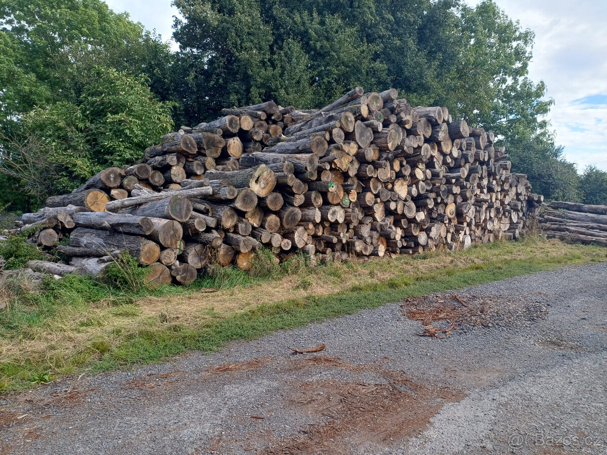 Palivové dřevo - 3