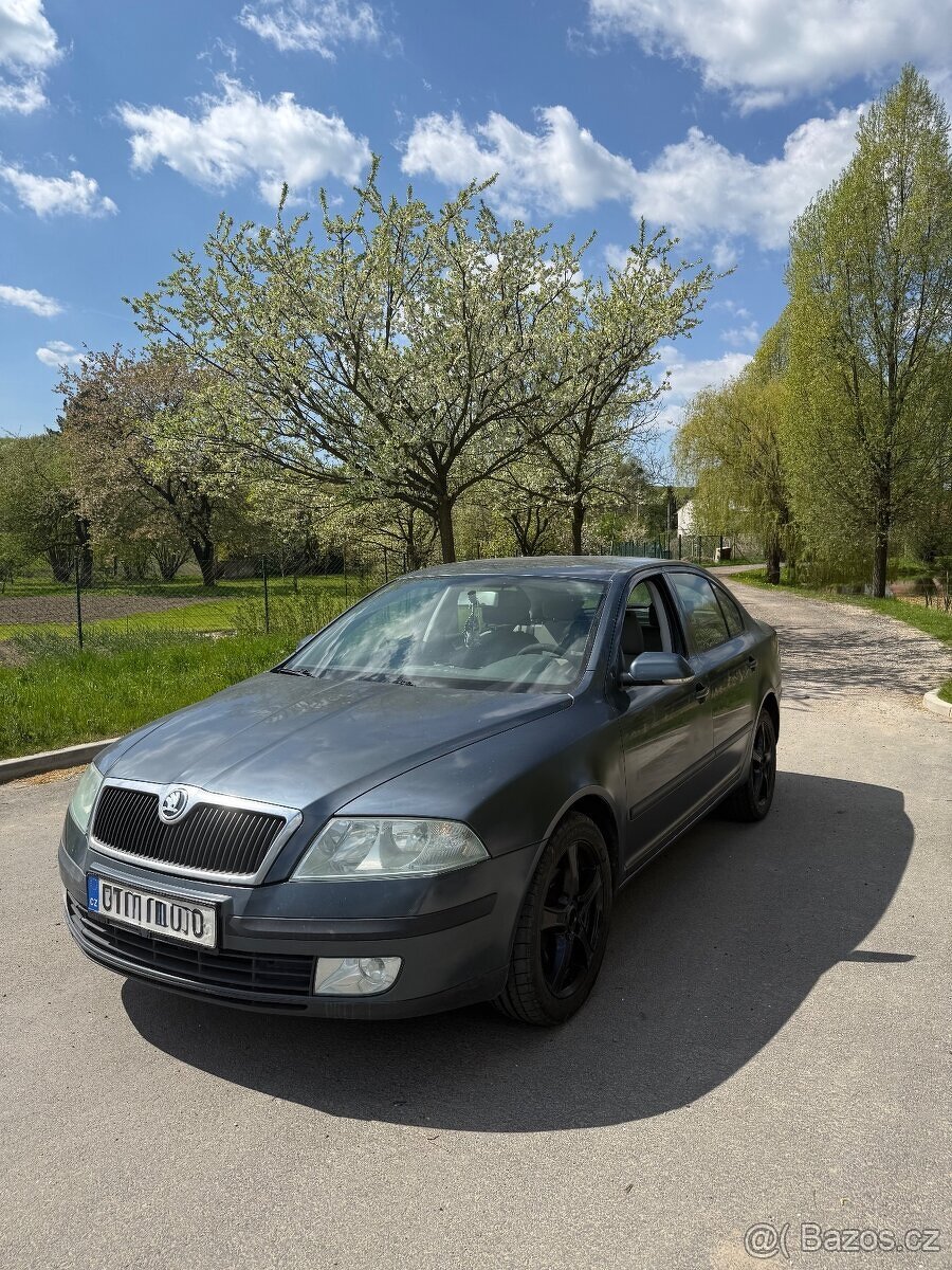 Škoda octavia 2 1.9. - 3