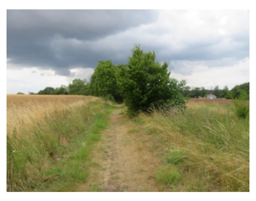 Pozemky v k. ú. Ptice, okres Praha-západ, ID 7940e 1012 - 3