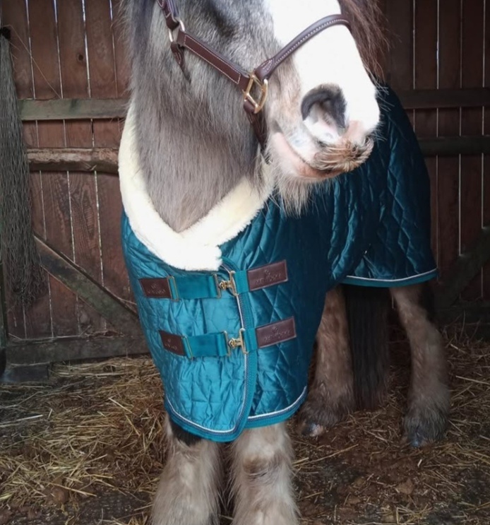 Stájová deka kentucky velvet emerald - 3