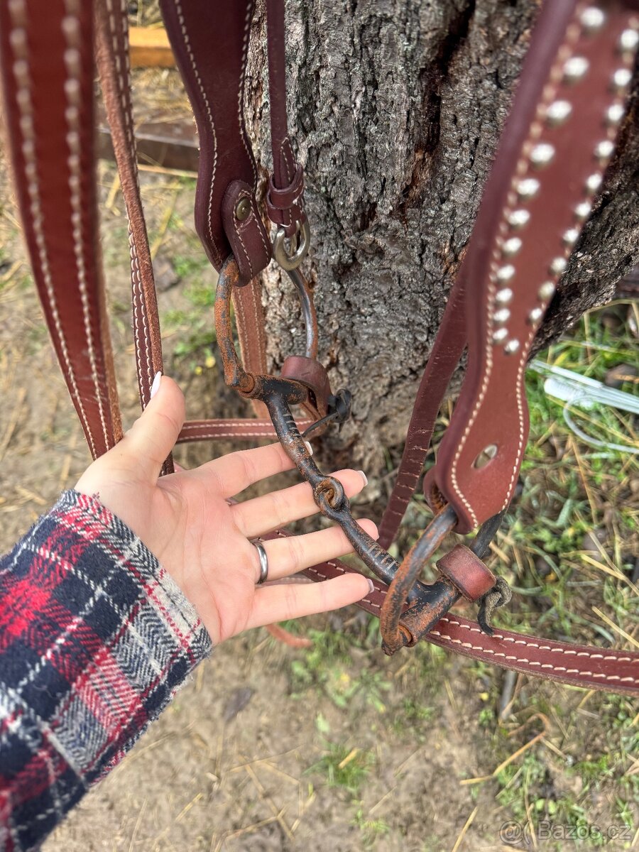 Westernová uzdecka - 3