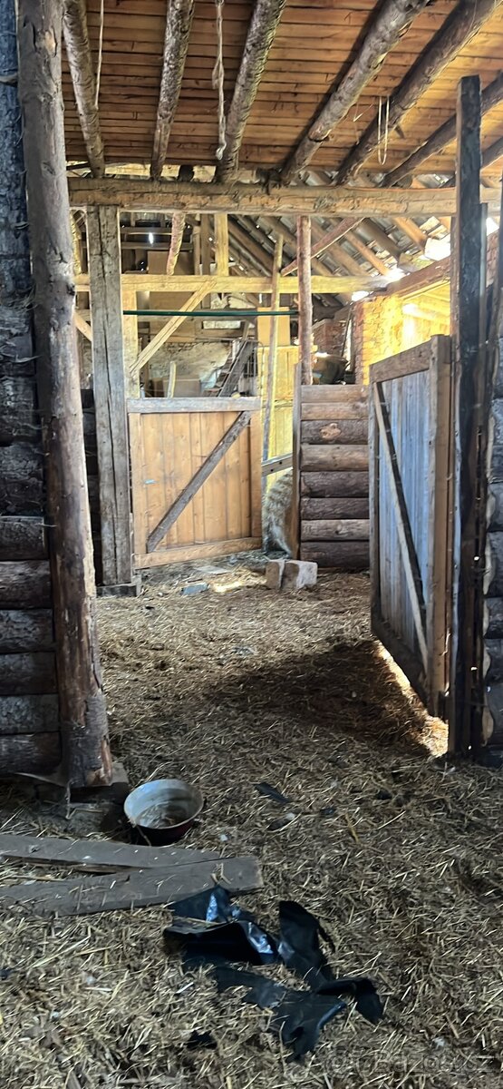 PRONÁJEM STÁJE PRO KONĚ - 3