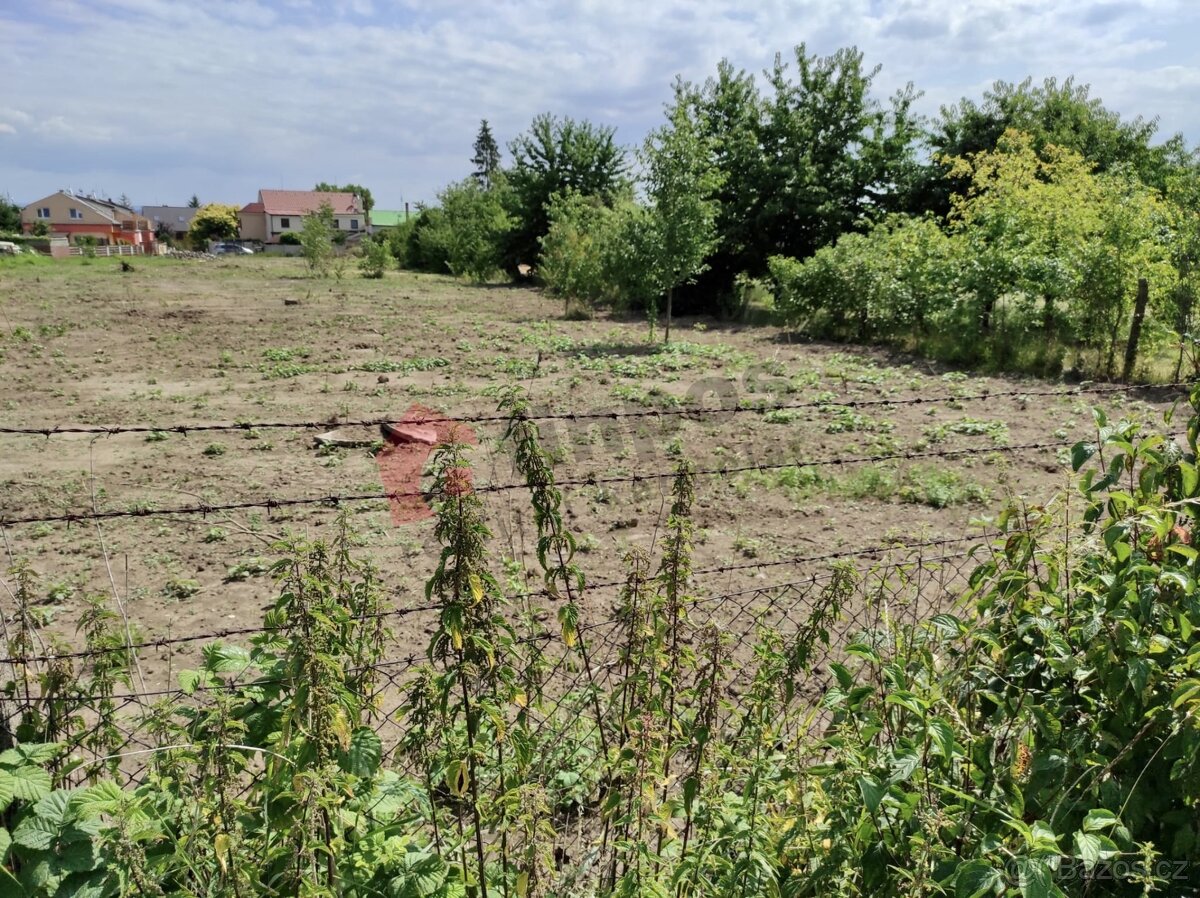 Pozemek 4174 m2, BV-plocha k bydlení, v obci Charváty u Olom - 3