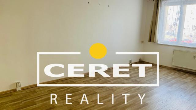 Útulný byt 3+1 k pronájmu - 3