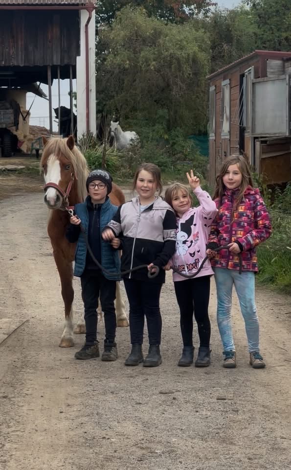 WELSH MOUNTAIN PONY PRO DĚTI - 3