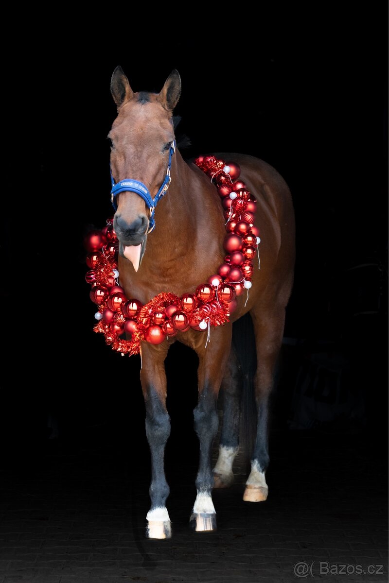 Pronájem Valáška - 3