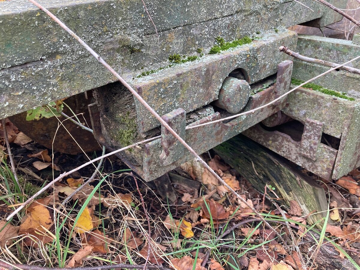 Hrudořezy, vajíčka - 3