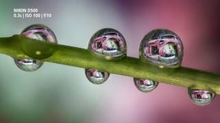 Nikon Nikkor 40mm dx macro - 3