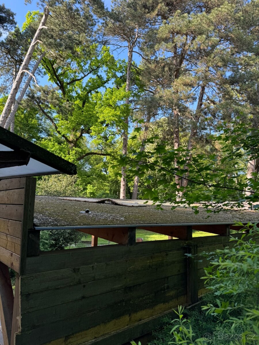 Dřevěná pergola - 3