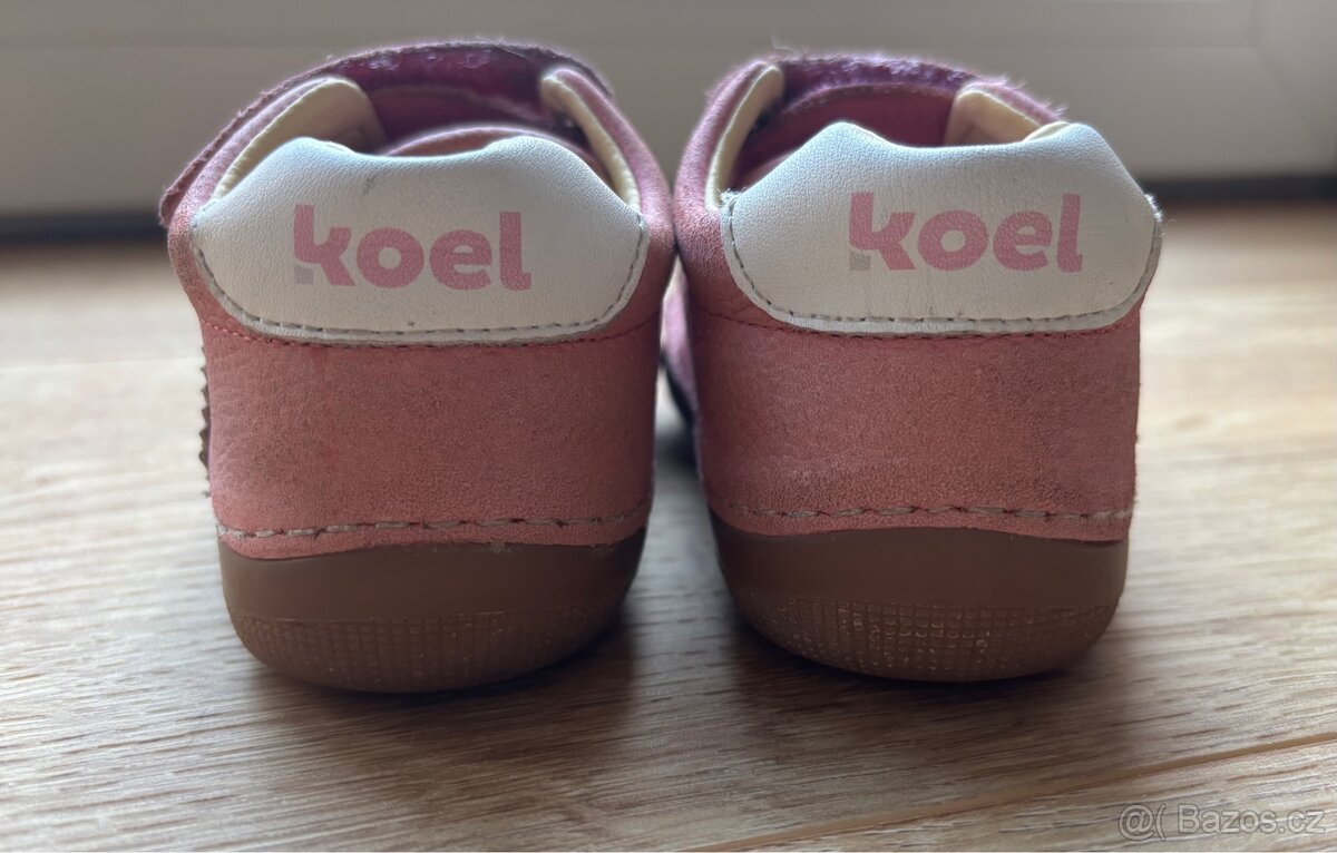Koel Archie 21 - 3