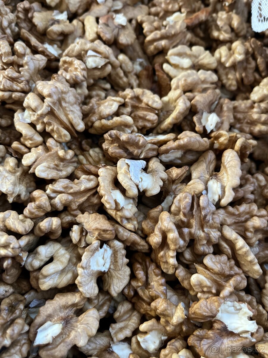 Prodám jádra vlašských ořechů - 3