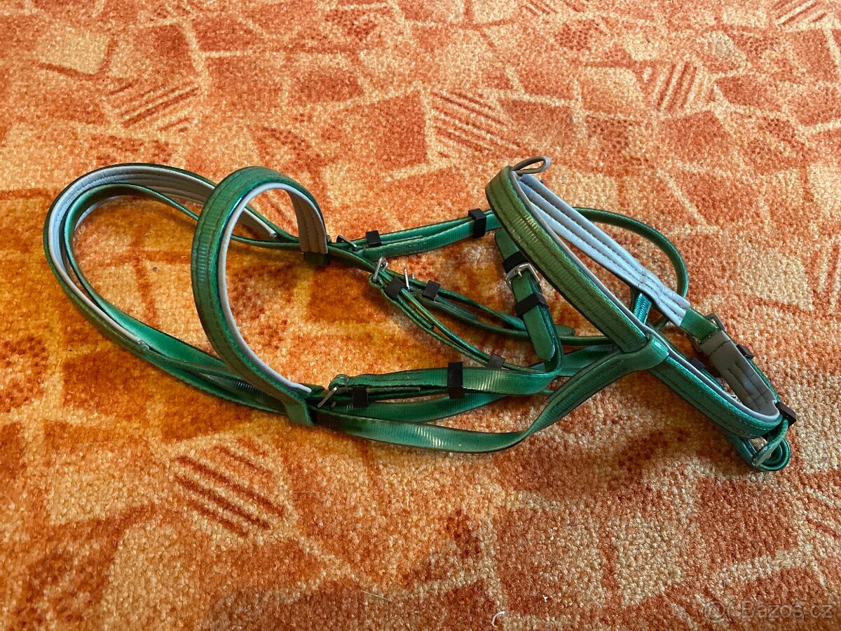 Uzdečka - zelená - 3