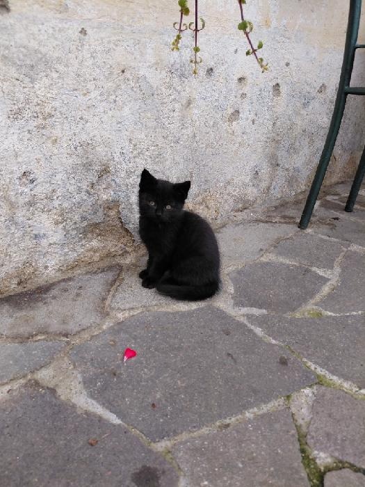 Pět čertíků z Vítkova - 3