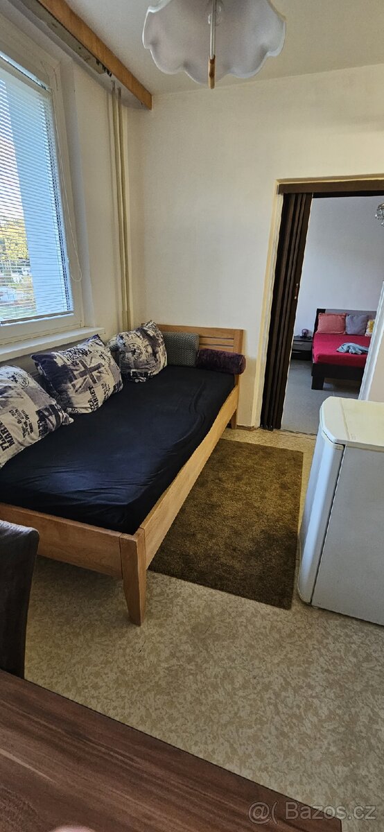 Velký 2+1,66m2,OV v Luhačovicich - 3