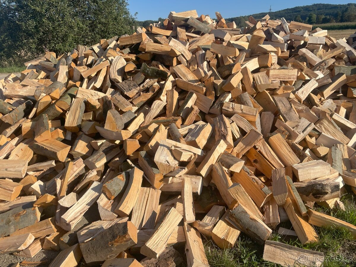 Palivové dřevo buk Prachatice - 3