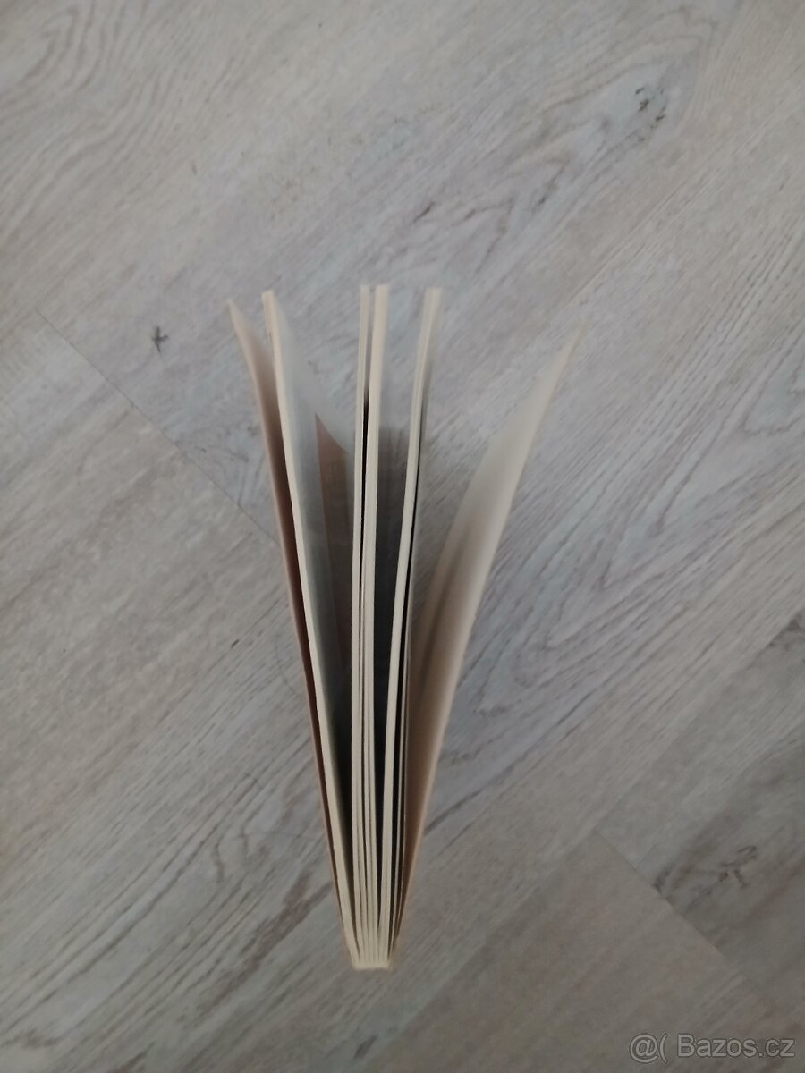 Pokojové rostliny - 3