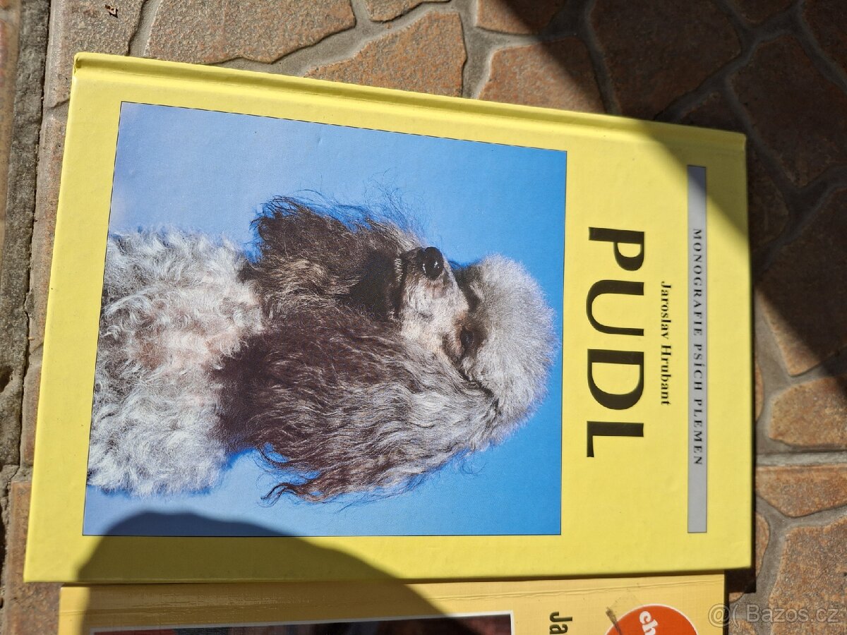 Pudl - 3