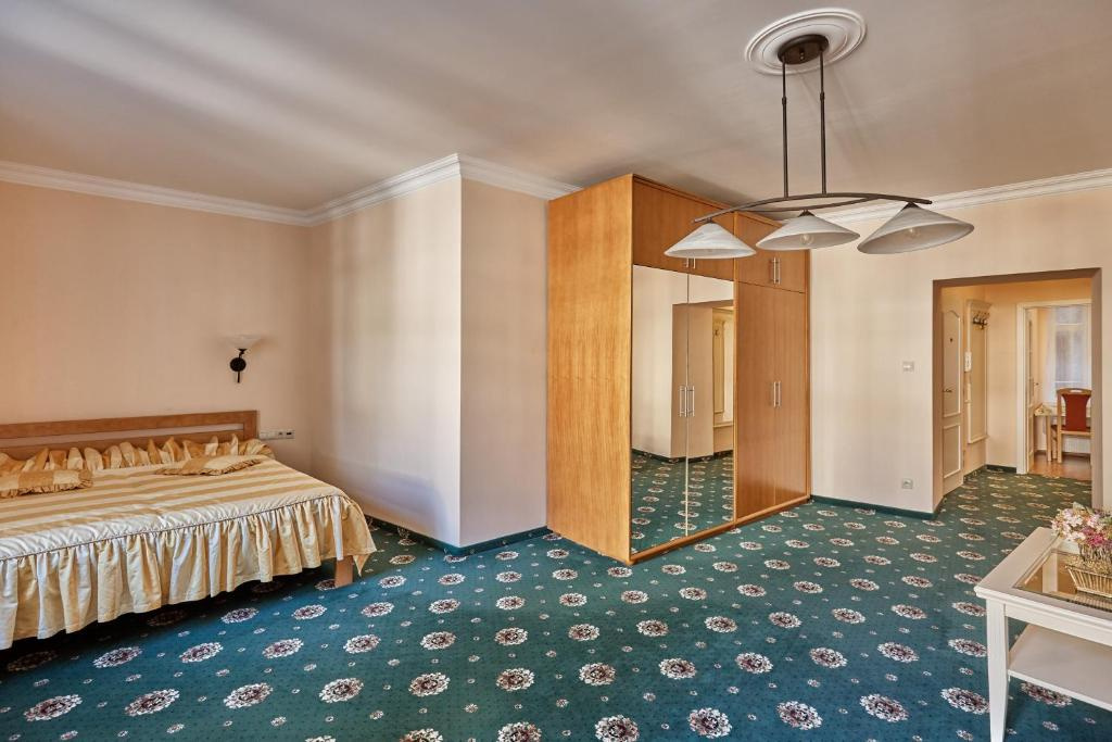 apartmanove byty centrum Karlovy Vary -Хозяин говорит русски - 3