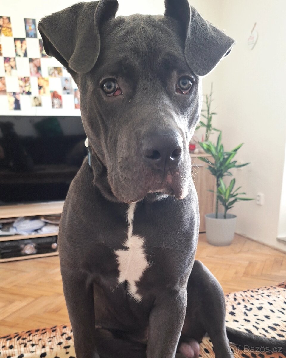 Daruji pouze do dobrých rukou - 3